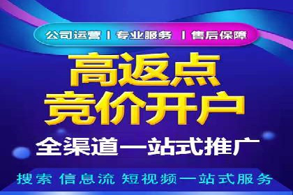 百度推广优化实战技巧与案例分享